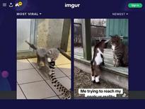 What's the name of this pornstar?