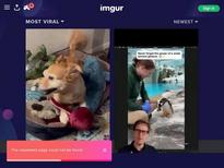 What's the name of this pornstar?