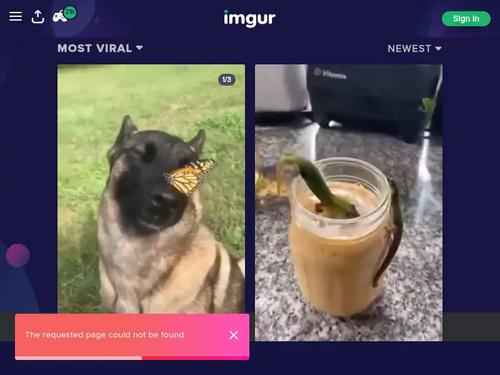 Who is this adorable cutie?