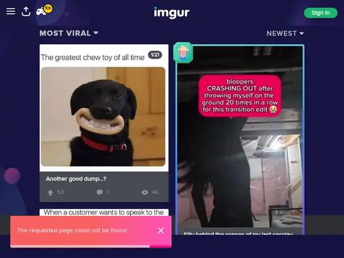 Whats the name of thE SCENE?