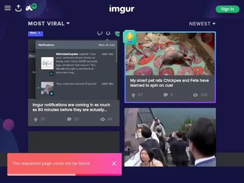 Raven Reign Case No 901154 shoplyfter