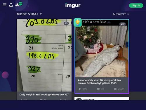 What's the name of this pornstar?