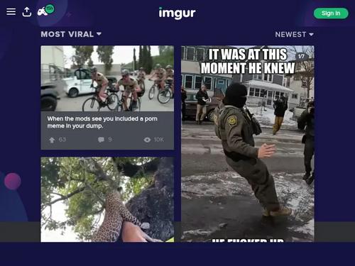 Does anyone know her  name ?  Video Link  httpswwwredgifscomwatchbluevioletbusyamericantoad?relu3Akeygirlzcom3Bo3Arecent