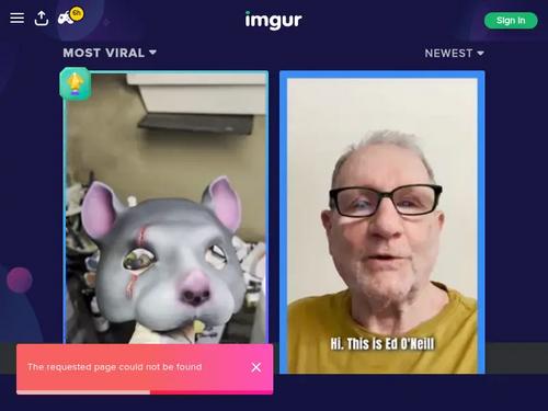 Geisha Kyd what scene?