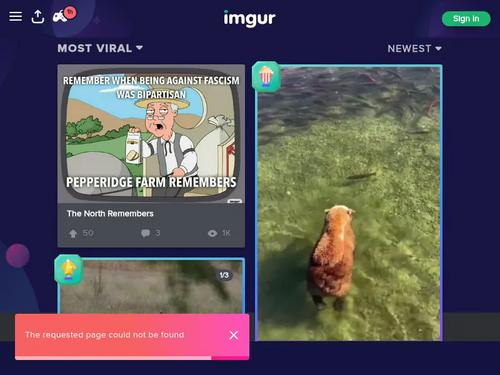 Nicolette Shea: Proof Of What Happens in Vegas (Gallery)
http://badsentinel.com/2016/08/24/nicolette-shea-las-vegas-adult-model-hot-pics-videos/#mainx