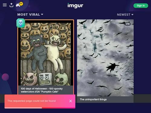 name or more videos?