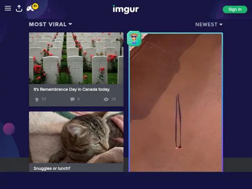 What's the name of this pornstar?