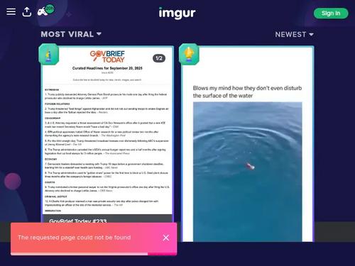 Eveline Dellai, Giada Sgh, Moona Snake