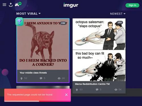 Name : Mayu mause 
https://onlyfans.com/mayumouse https://www.instagram.com/mousesuicide/ https://www.suicidegirls.com/girls/mouse/
