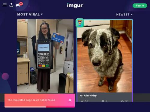 Riley Jensen & Sara James in the pool 