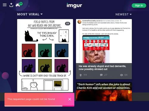 Laura Savoie https://imgur.com/a/GPC9QQn