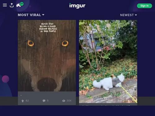 Macy Cartel - College Girls Like It Dirty