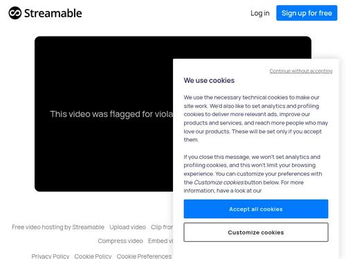 What is the name of porn star or video?