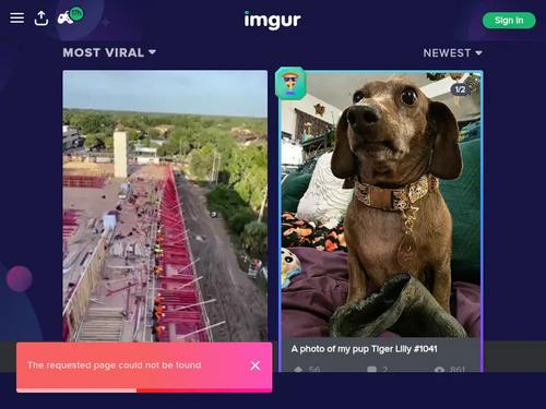 Angel aka Jennifer James, Brandee - https://www.iafd.com/person.rme/perfid=angel/gender=f/angel.htm