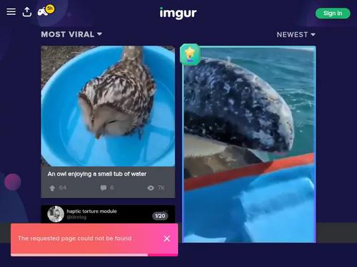 Lantti Irres https://www.boobpedia.com/boobs/Lantti_Irres