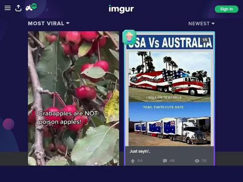 Shayna Knight  aka Shaya Knight, Shane, Shana Stone, Shayna Night, Shayna  -  Anal Bandits 5 (2008), Scene # 9  https://www.bang.com/video/VrEvyrrRn_oUi0V8/nice-lingerie-on-shayna-looks-great-as-she-rides-with-cock-in-her-butt