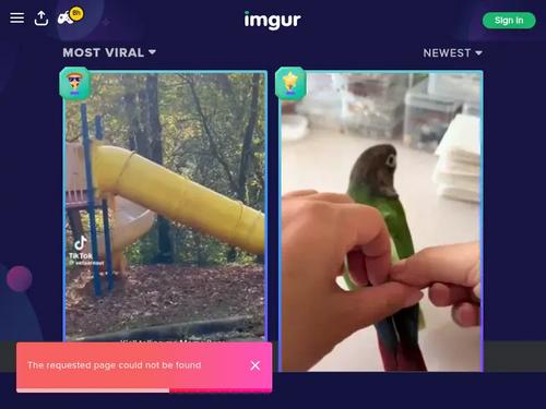 Adhara Skai (@thestartofus). https://www.pornhub.com/model/thestartofus https://namethatpornstar.com/search/Adhara%20Skai https://namethatpornstar.com/search/thestartofus