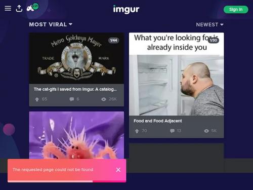 Who is this pornstar?