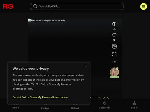 name of this porn and woman pls