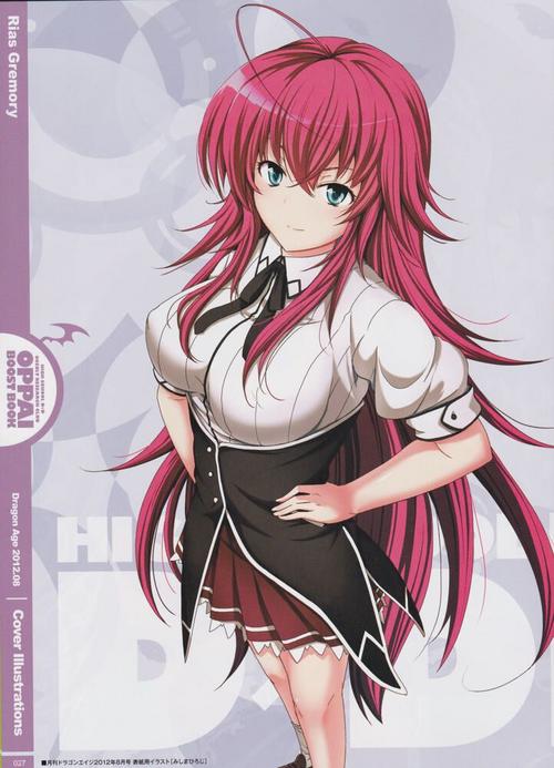 Rias Gremory Form Highschool DxD