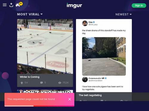 Calli Cox, Hannah Harper