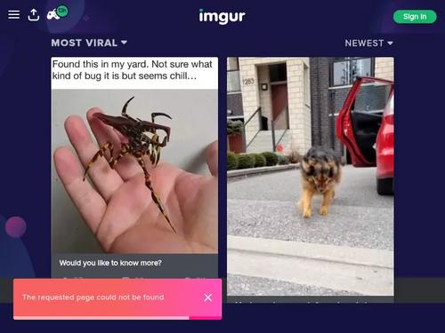 Willow Hayes Fucked Doggy and Gets Cum on Her Soles