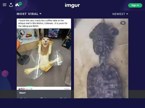 What is her name and where can I find the full video?