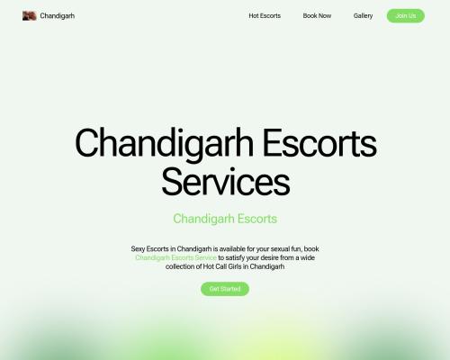 Chandigarh escort services 