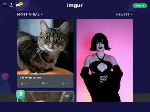 What's the name of this pornstar?