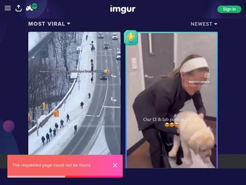 NoFaceGirl: https://www.pornhub.com/model/nofacegirl , https://pornhub.com/view_video.php?viewkey=ph5e572215d5492