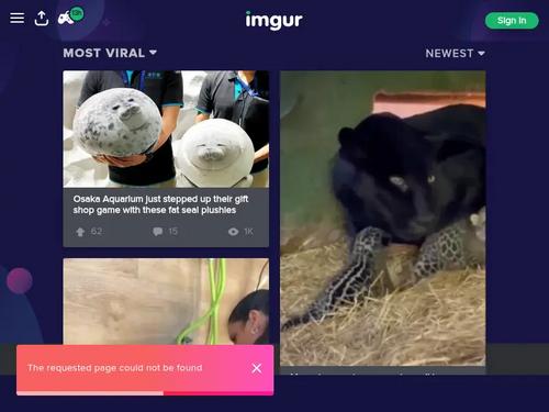 Lana (Barbie, Kianna, Laska, Nadya, Lissy) ~ http://namethatpornstar.com/thread.php?id=1287250