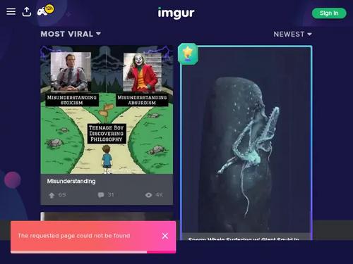 Where can I find the video of this gif?