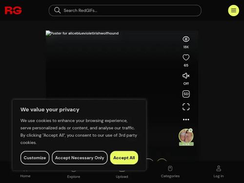 What's the name of this pornstar?