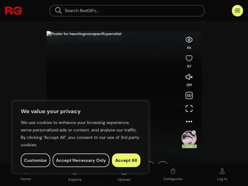 What's the name of this pornstar?