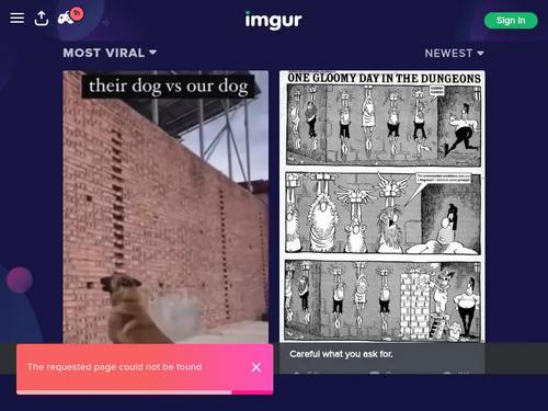 Anyone know the name of this pornstar and where this picture is from?