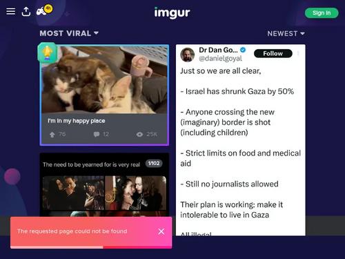 Cute brunette with modest boobs