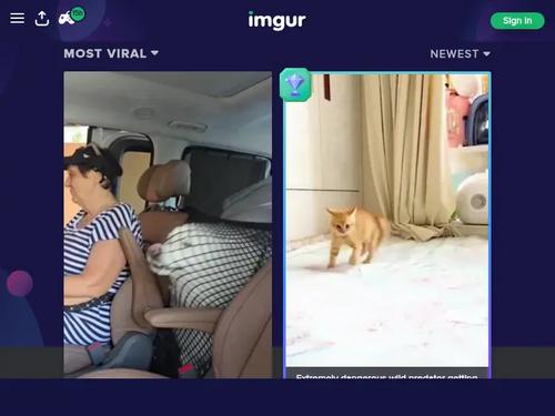 Looks like Ellie Idol