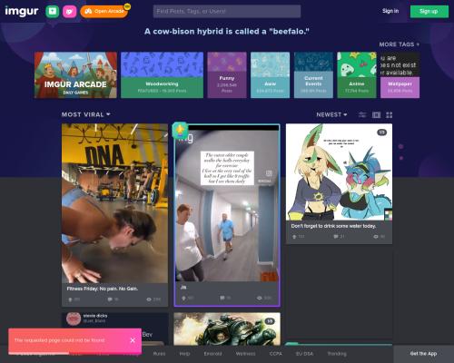 What is this womans name?