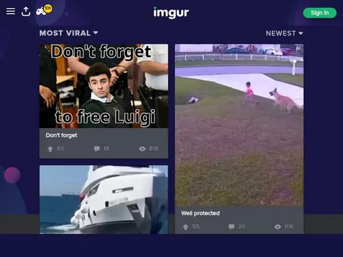 Alisa Verner is the photographer. 