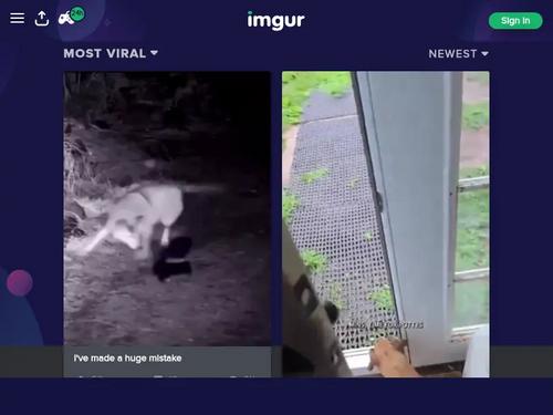 What's the name of this pornstar?