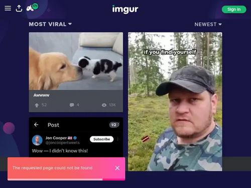 Lexi Dona (Left, black hair) and Chrissy Fox, in 