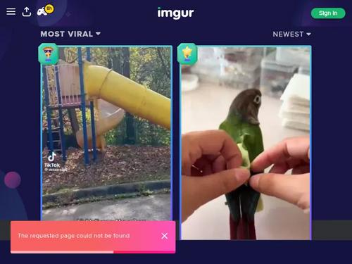 Whats the name of this czechcasting model?