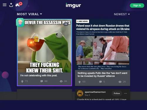 Skylar Valentine - Tiny Blonde Pied