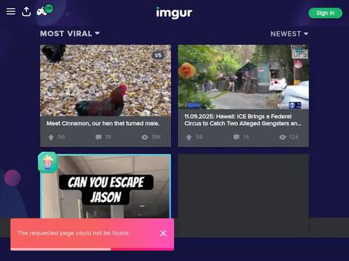 Paula Shy and Clover