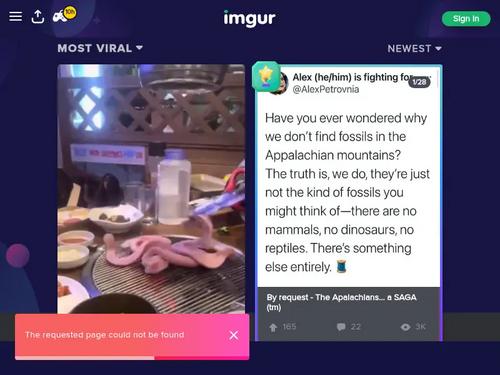 The scene is di11896 but who is she?