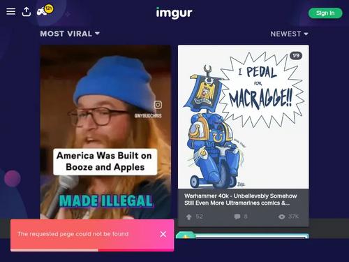 whats the name of this beauty