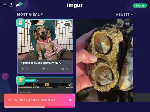 need sauce and video link pls