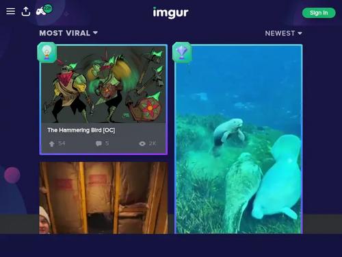 Whats the name of this model?