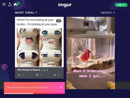 What's the name of this pornstar?