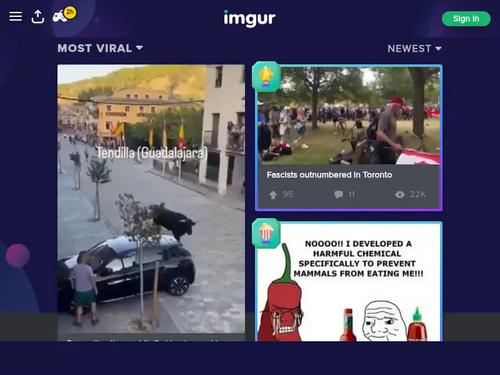 What's the name of this pornstar?